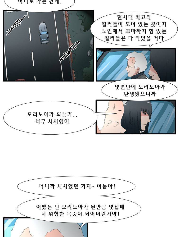트레이스 장미 6 17