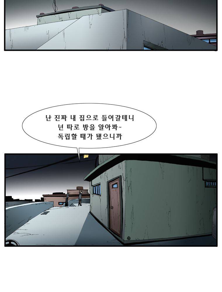 트레이스 장미 6 37