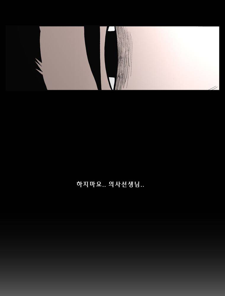 트레이스 장미 17 5