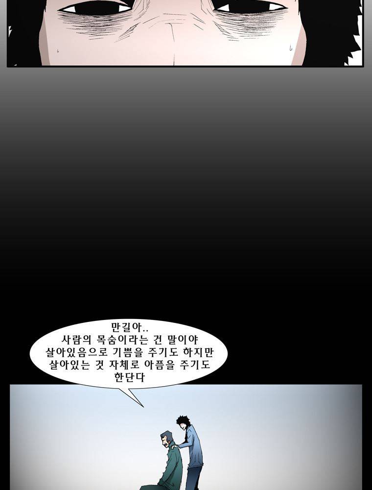 트레이스 장미 17 17