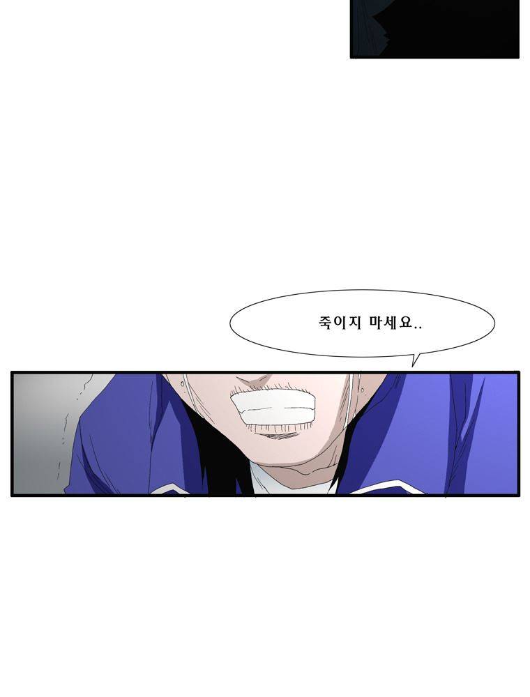 트레이스 장미 17 37