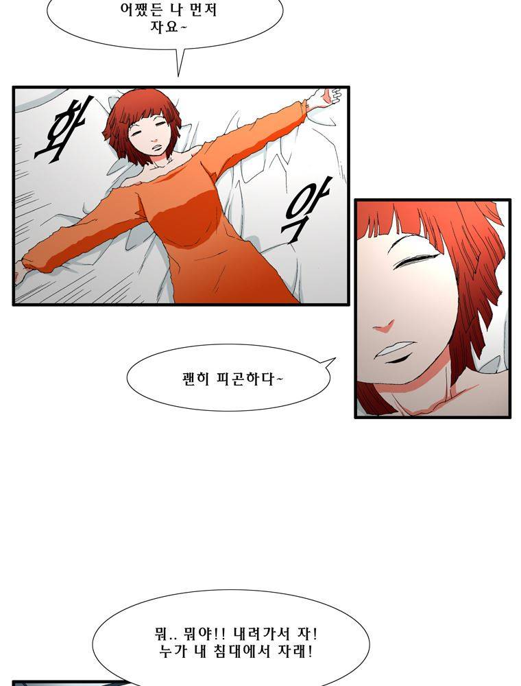 트레이스 장미 17 53