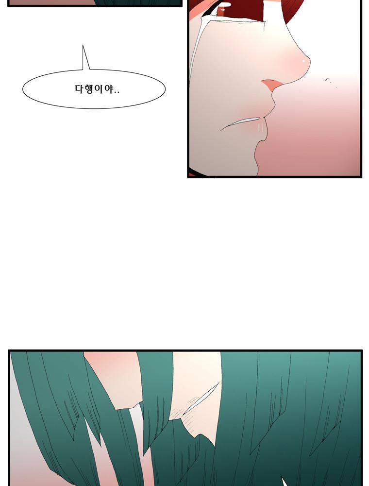 트레이스 장미 27 17