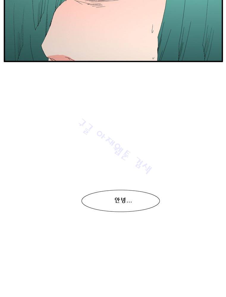 트레이스 장미 27 30