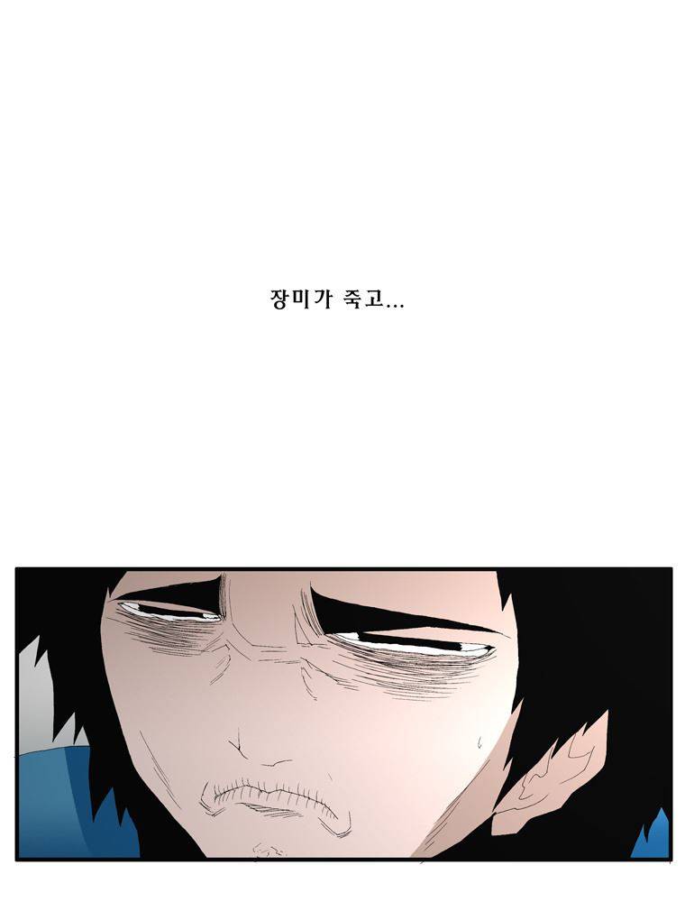 트레이스 장미 27 62