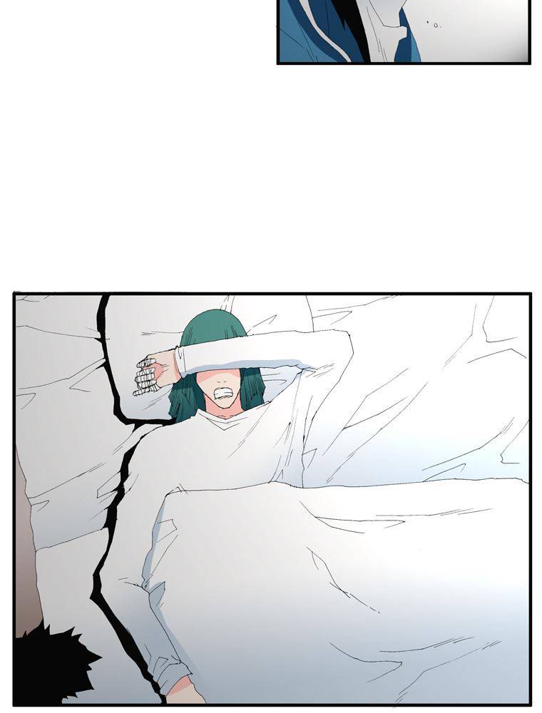 트레이스 장미 27 66