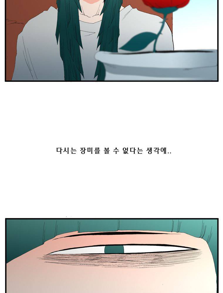 트레이스 장미 27 69