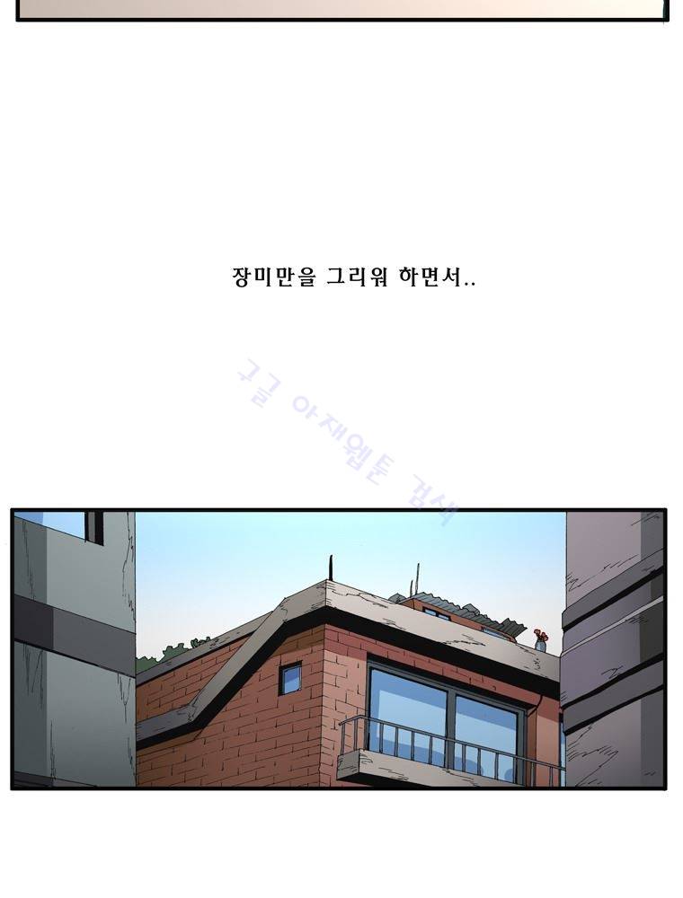 트레이스 장미 27 70