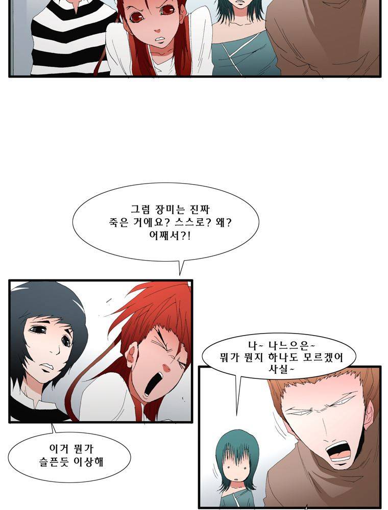 트레이스 장미 27 72