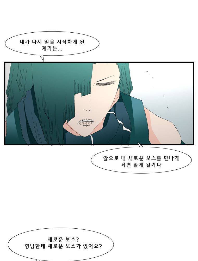 트레이스 장미 27 77
