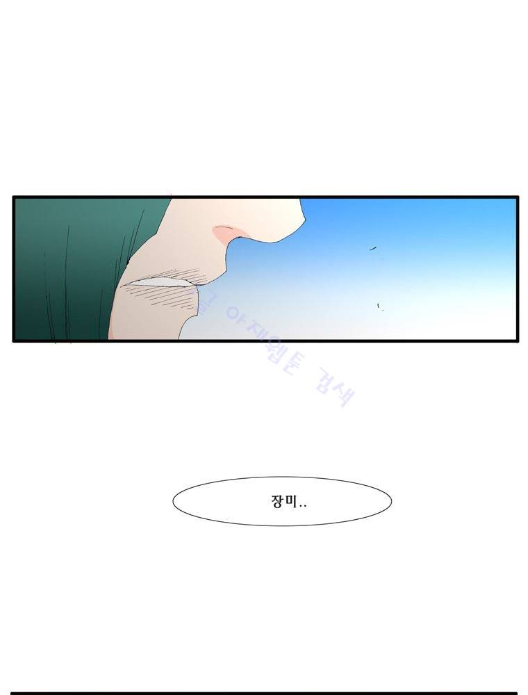 트레이스 장미 27 90