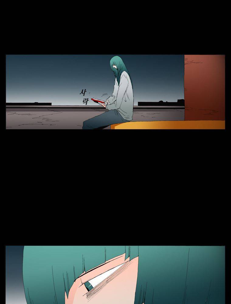 트레이스 장미 27 97