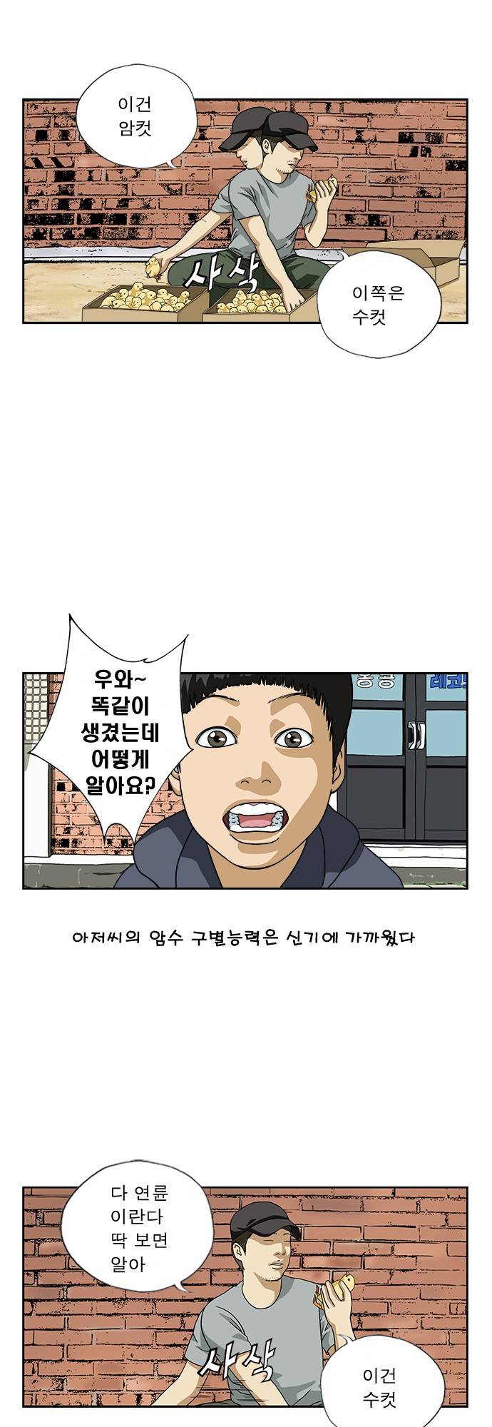 또라이 18화 - 날아라 병아리 上 3