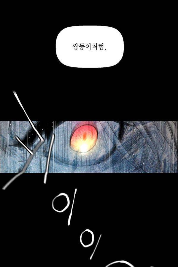 테러맨 53화 20