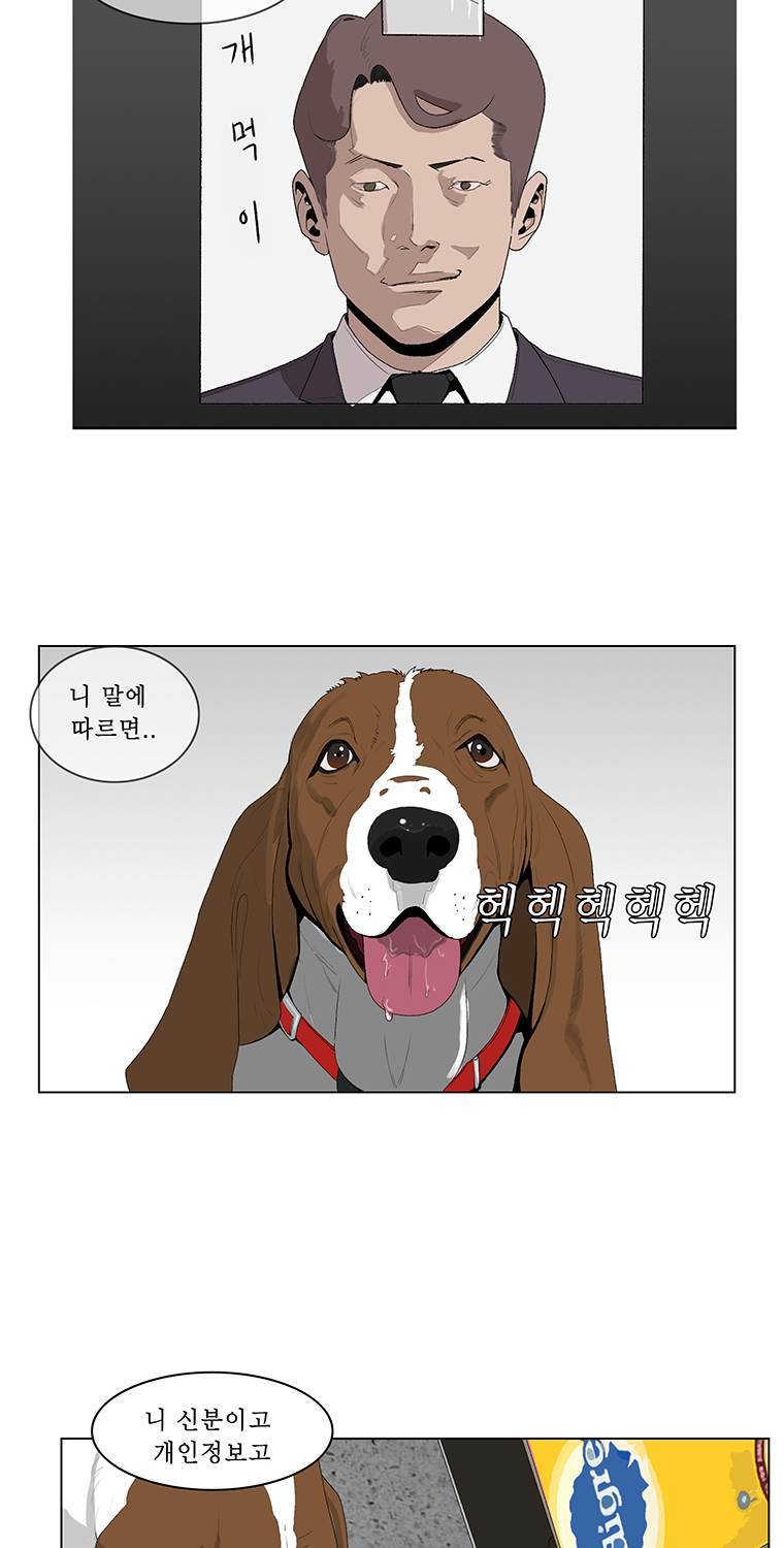 들쥐 17화 2