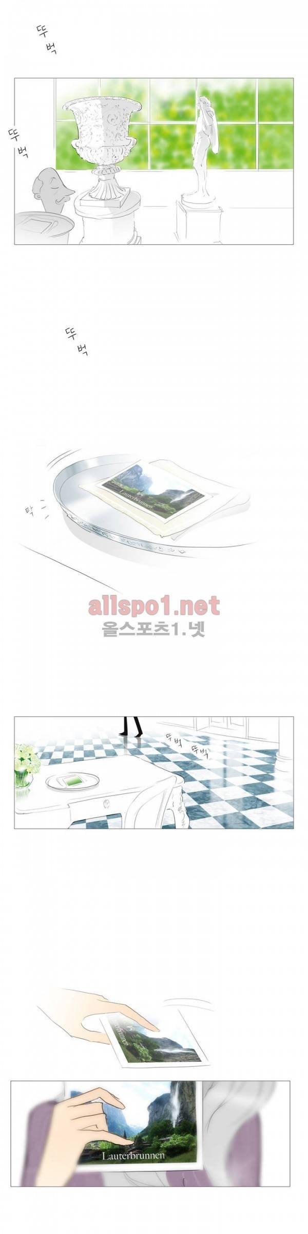 유럽에서 100일 특별편 예고 2