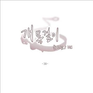 개목걸이 38화 1