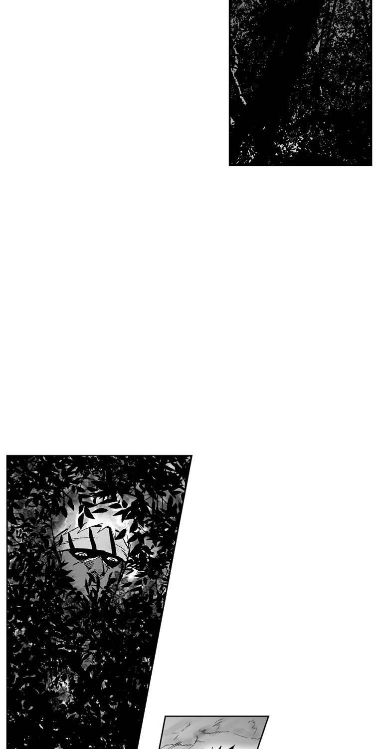 레드스톰 244화 5