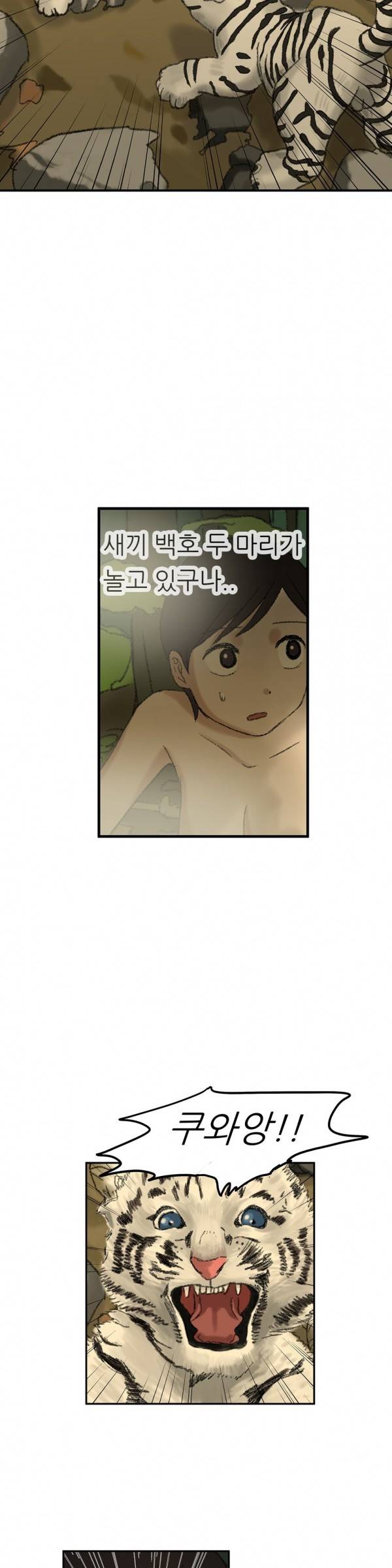 와해된 시선 35화 5