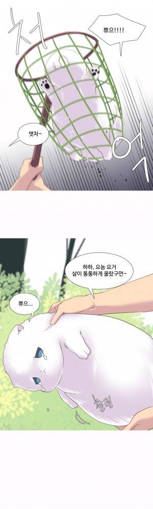 내가 지배하는 세상 29화 12