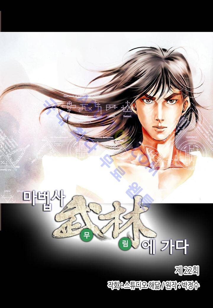마법사 무림에 가다 22화 2