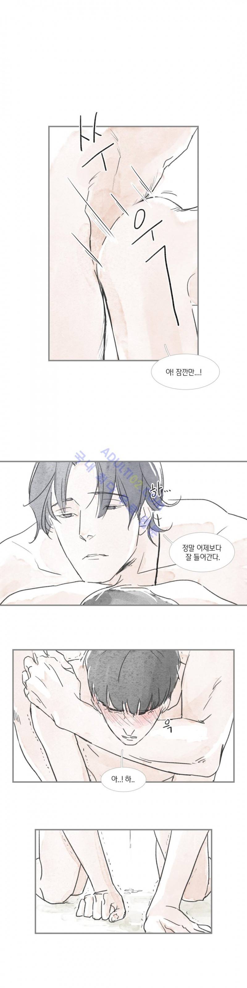 돌핀 요정 5화 3