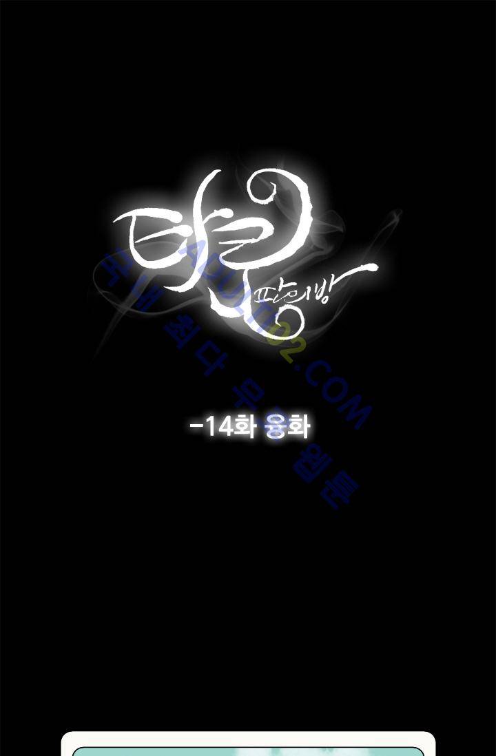 타로 : 피리부는 사나이 14화 1