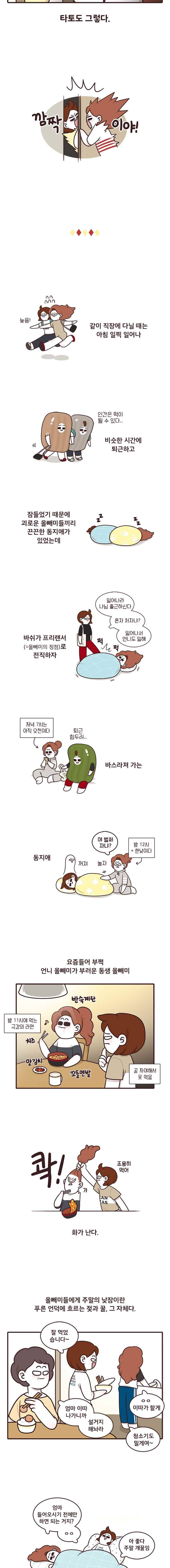 과격자매단 32. 올빼미들 3
