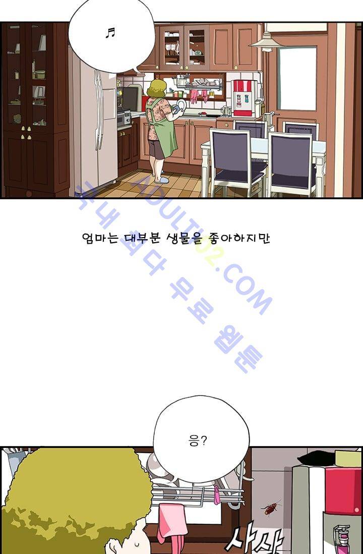 엄마는 외국인 3기  54화 2