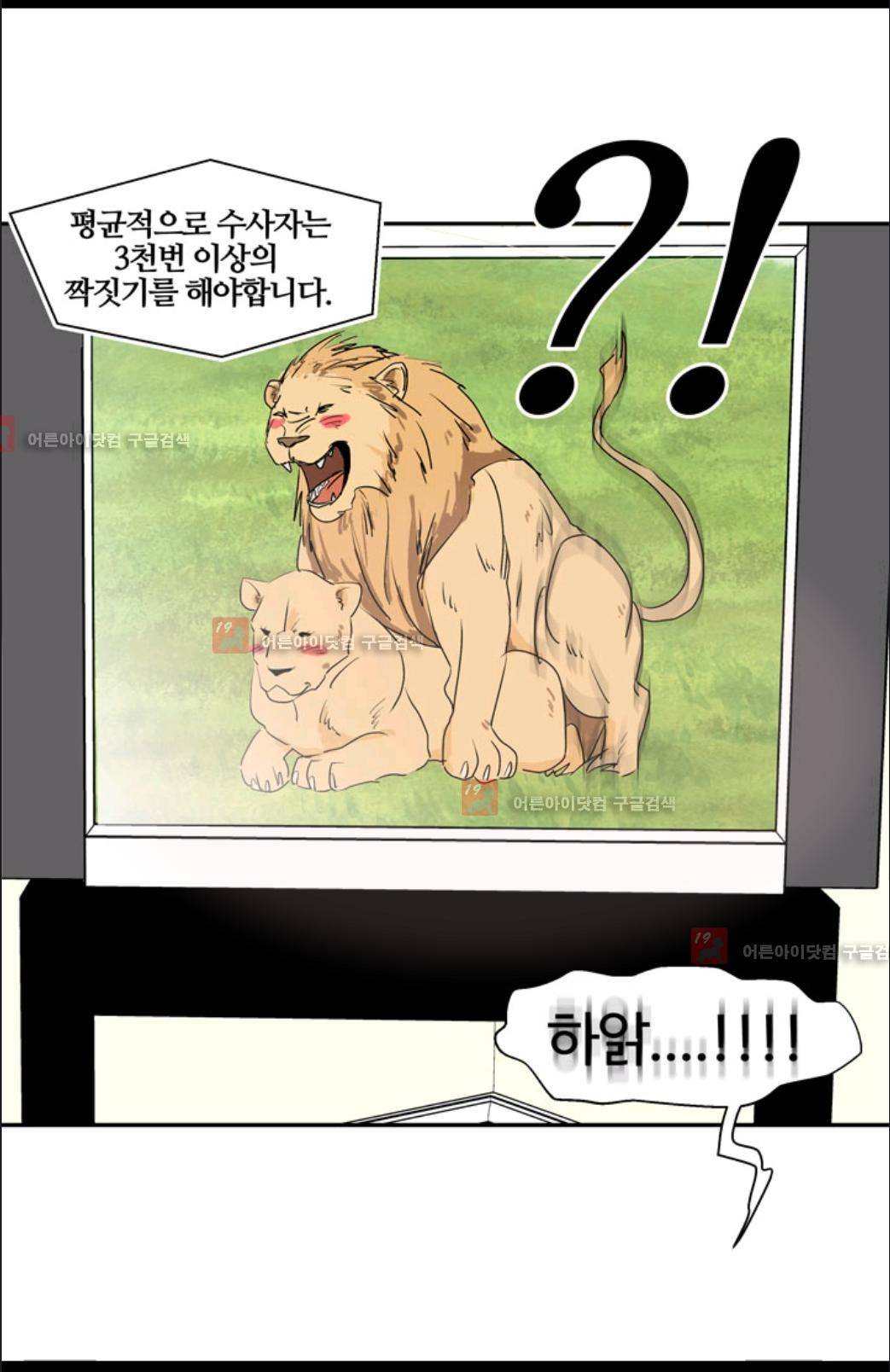 애니멀 아이즈 9화 17