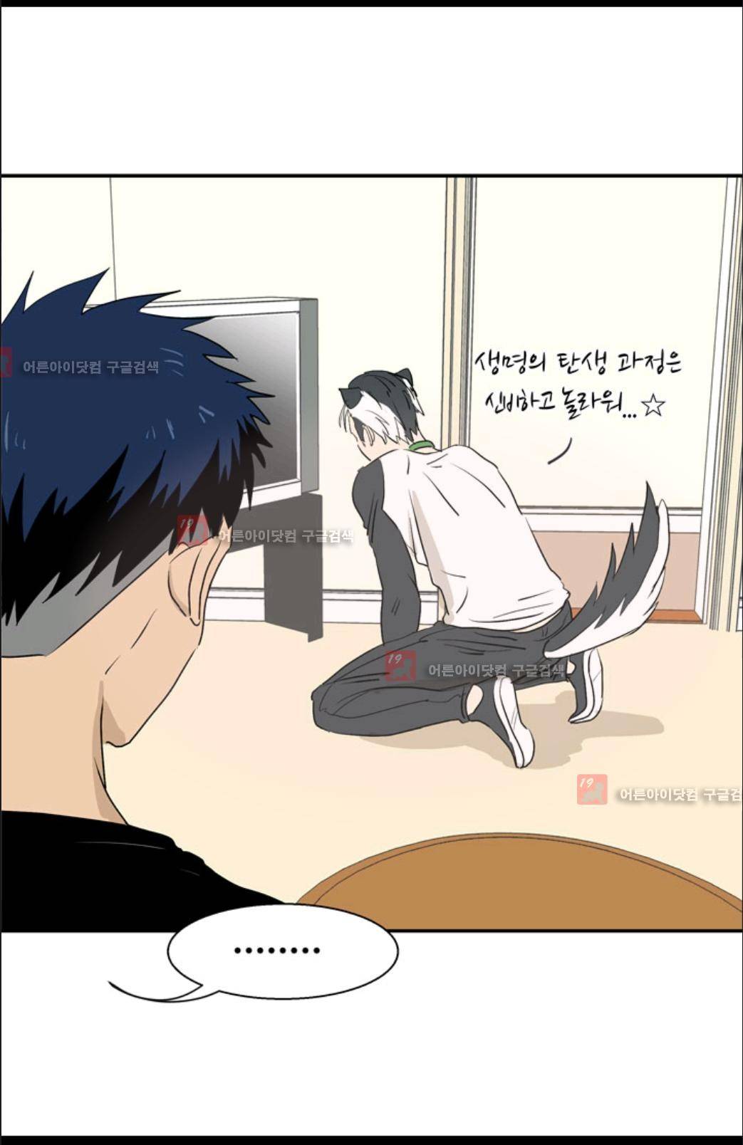애니멀 아이즈 9화 18