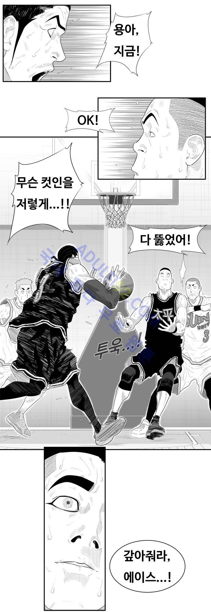 훕스(Hoops) 53화 14