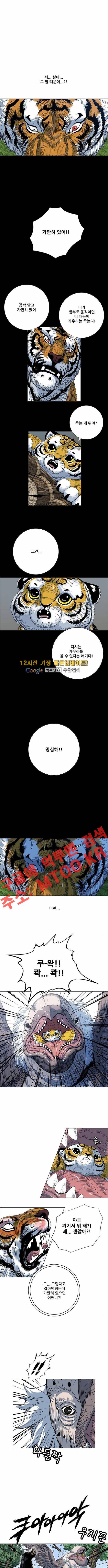 호랑이형님 2부 49화 1
