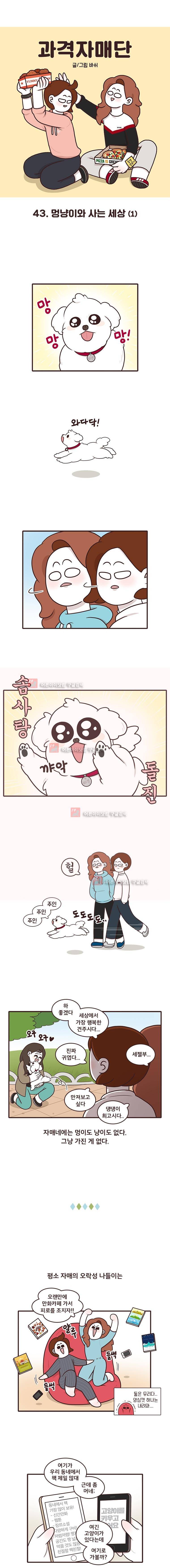 과격자매단 43. 1