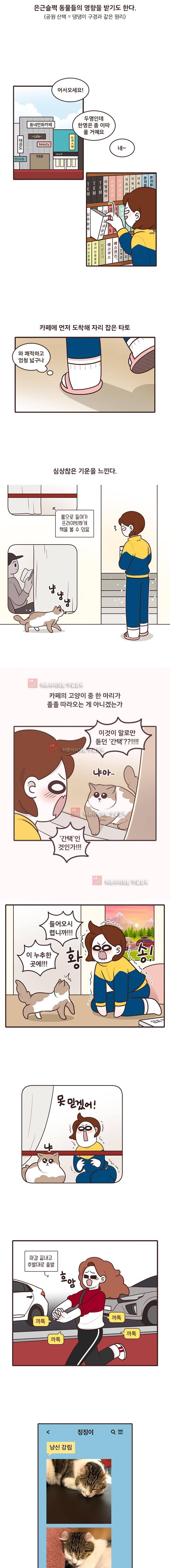 과격자매단 43. 2