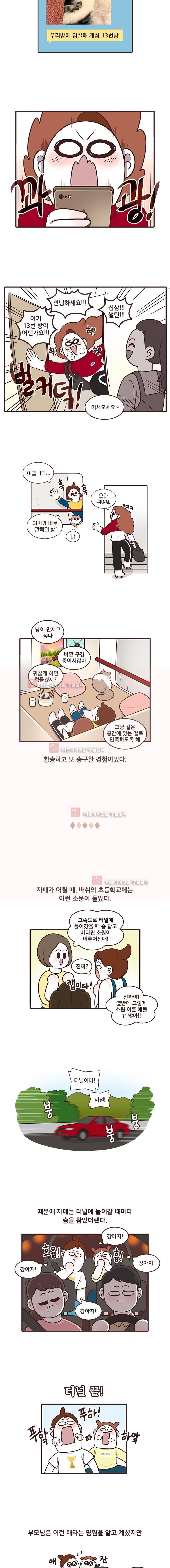 과격자매단 43. 3