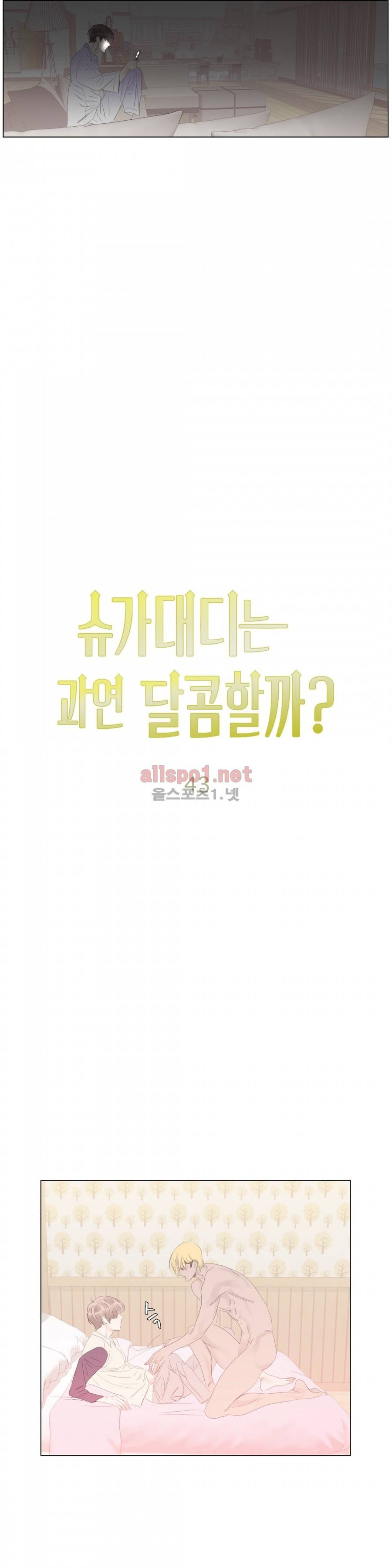 슈가대디는 과연 달콤할까? 43화 14