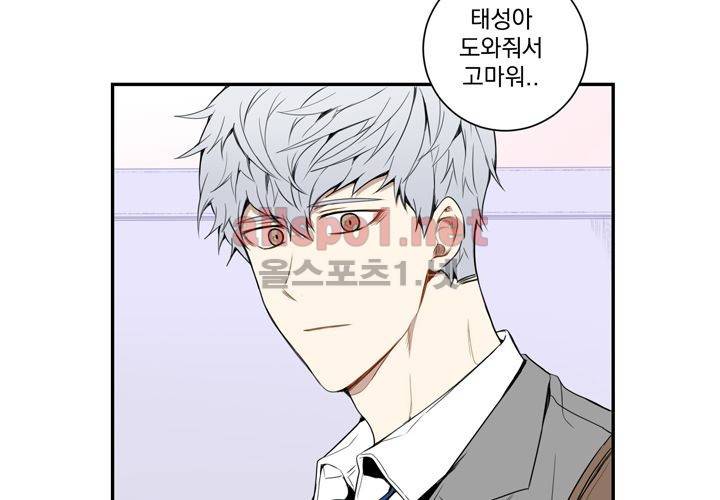겨울 지나 벚꽃 15화 3