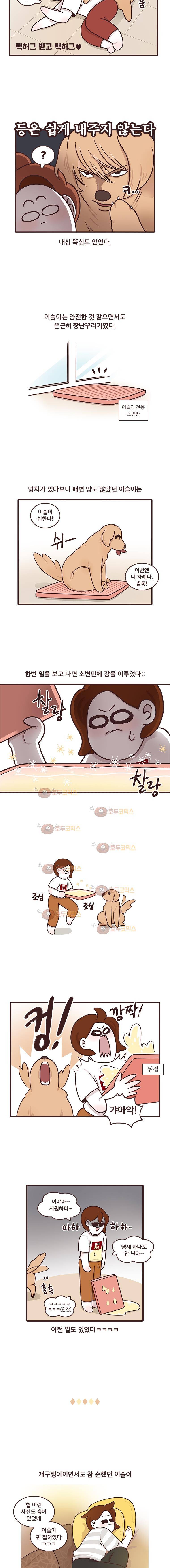 과격자매단 72화 - 이슬이 (하) 3