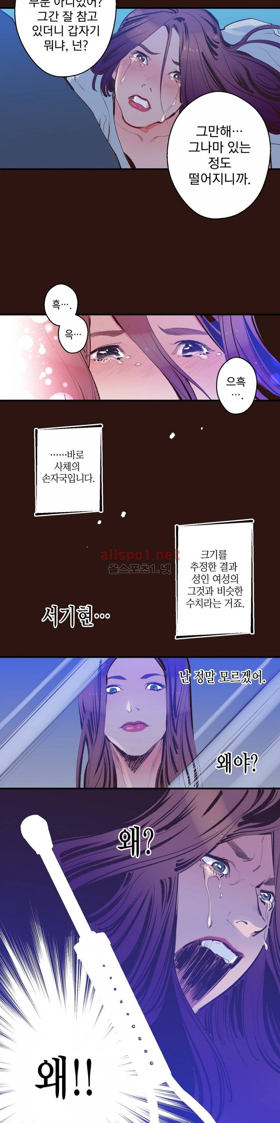 가면의 정사 11화 6