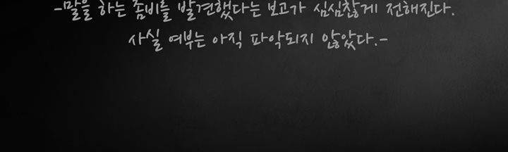 죽은 자들의 도시에서 19화 9