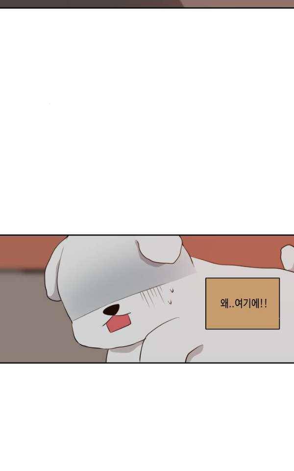 오늘도 사랑스럽개 46화 2
