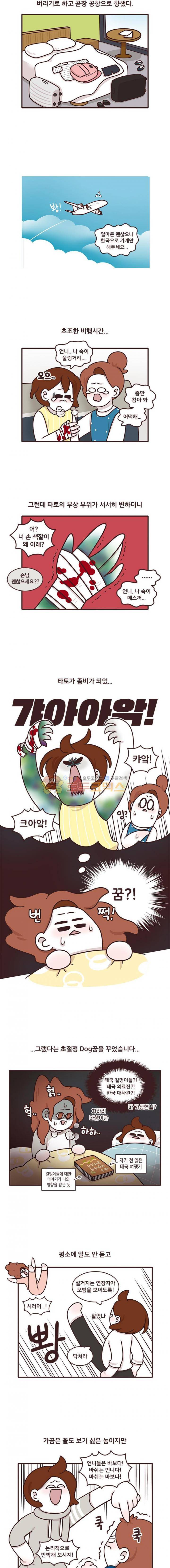 과격자매단 101화 - 호적메이트란 2