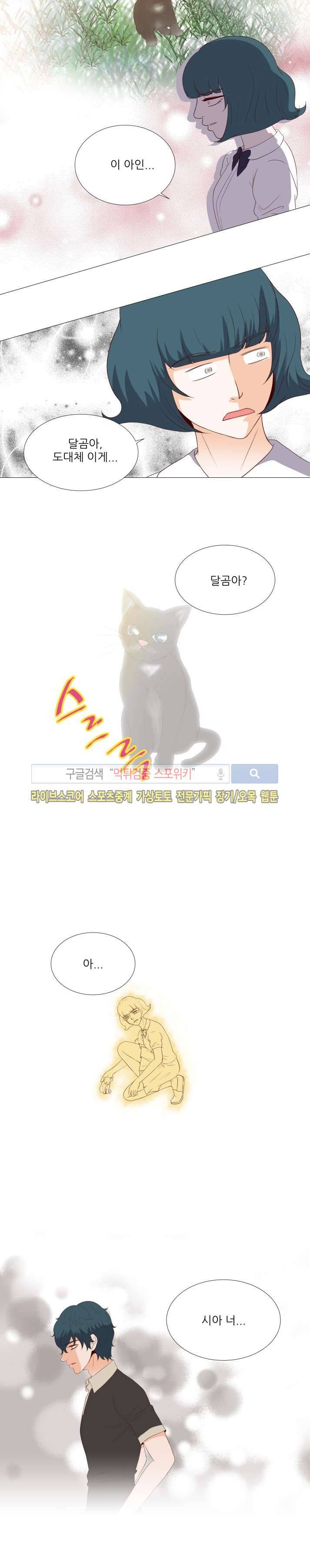 나의 도깨비 신부 19화 2