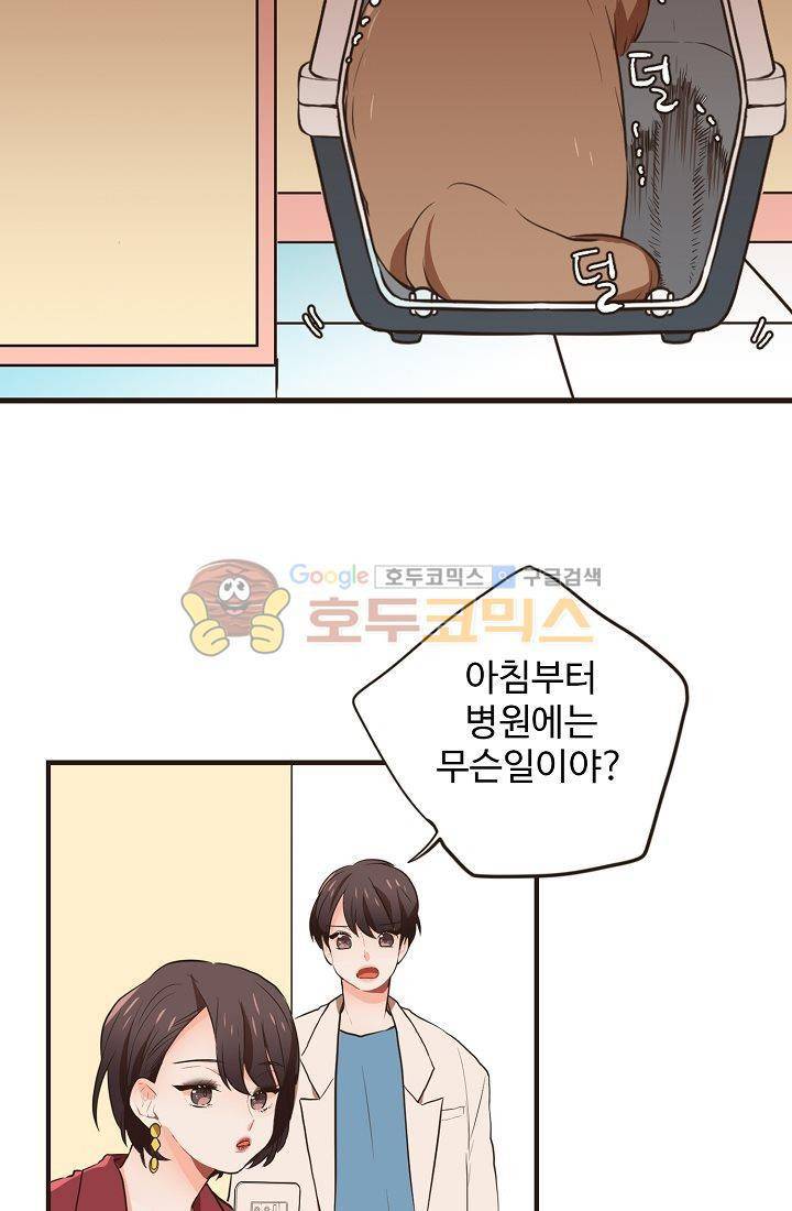 멍멍냥냥 9화 - 연상의 취향 22