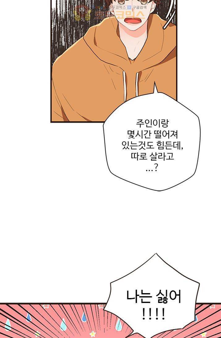 멍멍냥냥 20화 - 좋아해요? 29