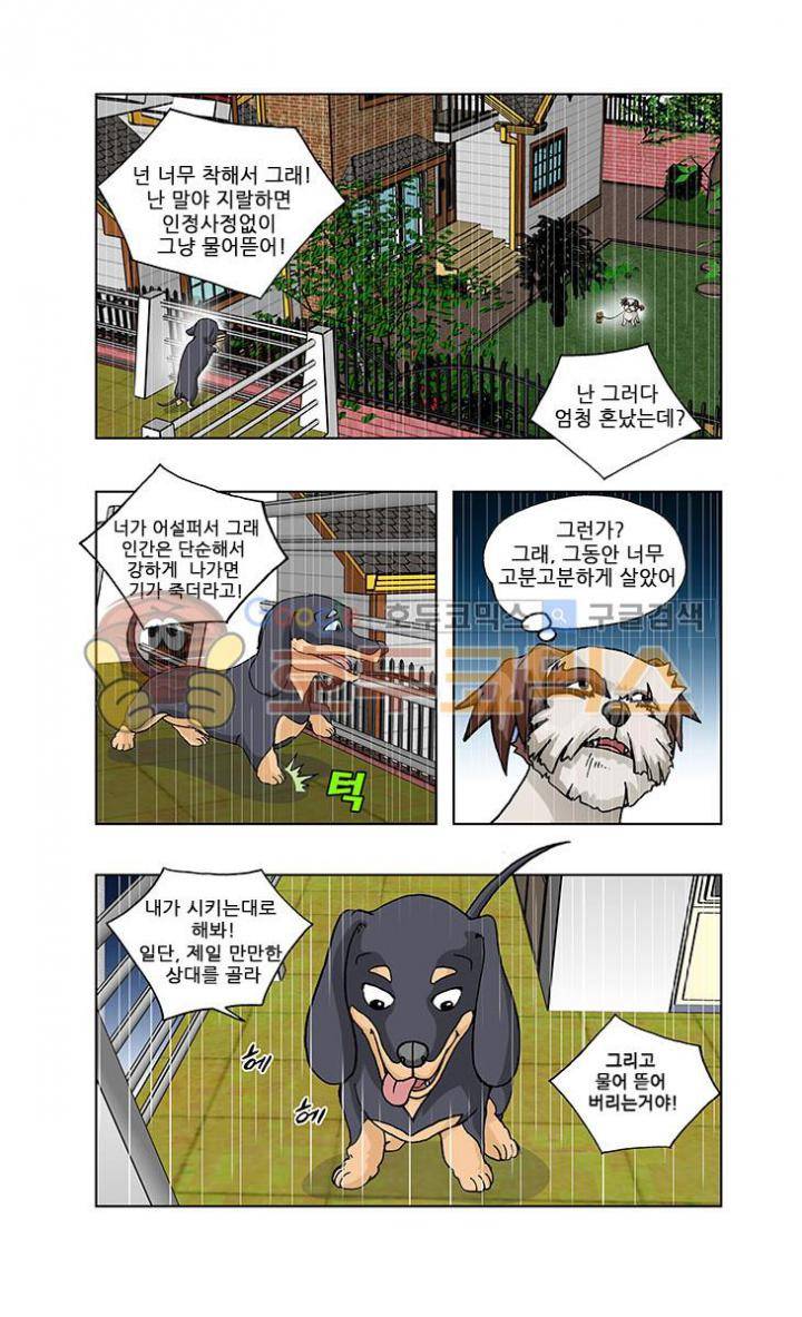 조폭강쥐 용파리 6화 - 일탈 2