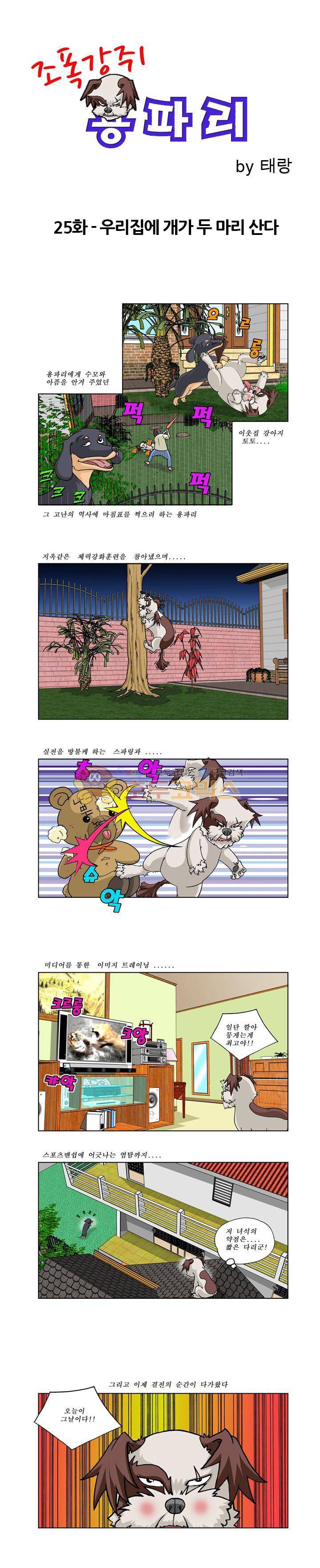 조폭강쥐 용파리 26화 - 우리집에 개가 두 마리 산다 1