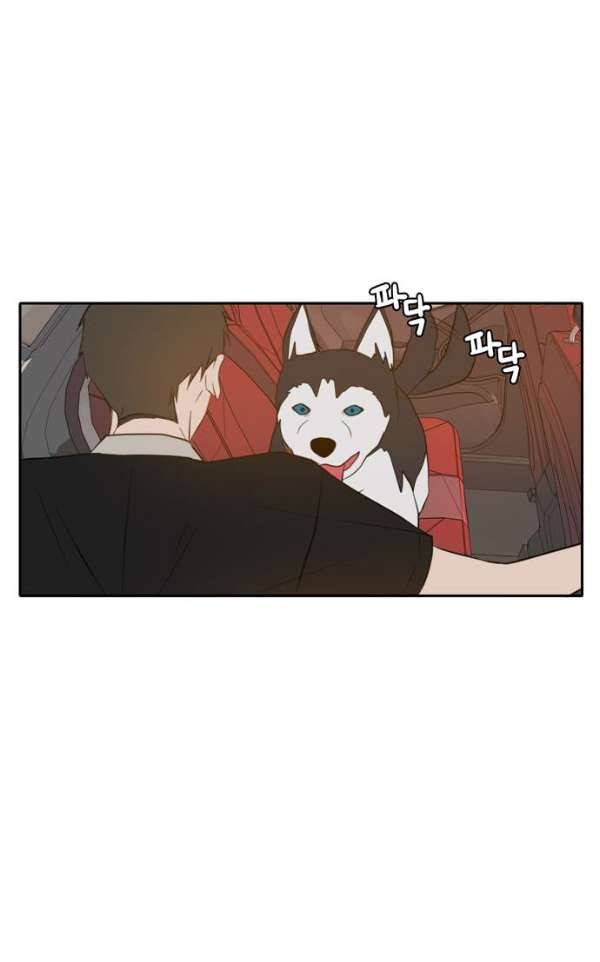 오늘도 사랑스럽개 53화 18