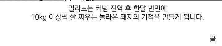 바나나툰 47화 20